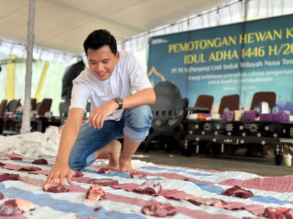Energi Keikhlasan untuk Kuatkan Persaudaraan, PLN NTB Salurkan Segini Ekor Sapi Qurban?